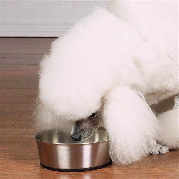 Pet Pals Pet Pals ZW880 88 Stainless Steel Bowl with Rubber Base 88oz ZW880 88 - main